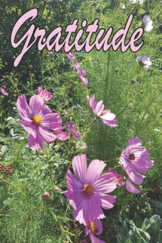 Buch Gratitude Lorraine Crawley