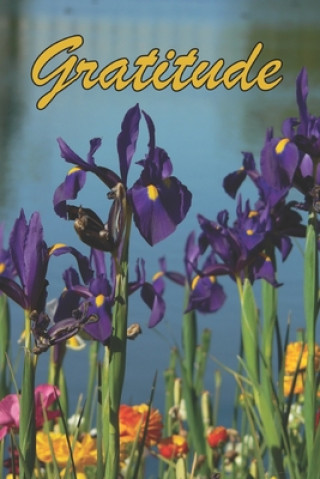 Knjiga Gratitude Lorraine Crawley