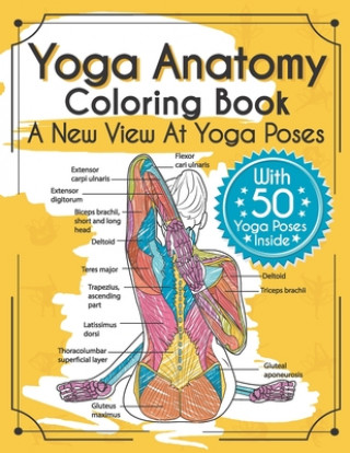 Kniha Yoga Anatomy Coloring Book Elizabeth J. Rochester