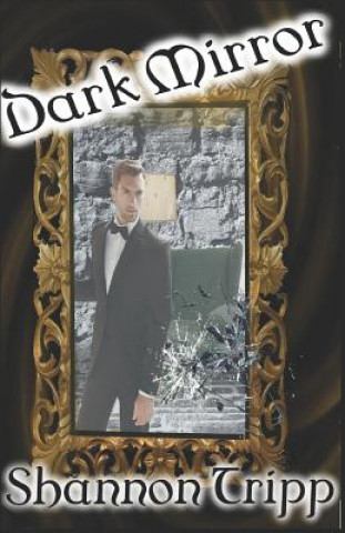 Knjiga Dark Mirror Shannon Tripp