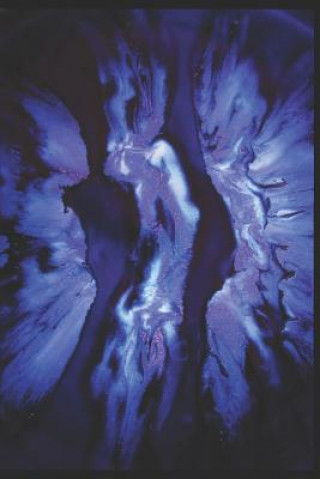 Knjiga Divinity: Part I Dani Dedeaux
