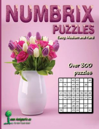 Kniha Numbrix Puzzles: Easy, Medium and Hard Aenigmatis