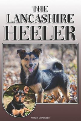 Kniha The Lancashire Heeler: A Complete and Comprehensive Owners Guide to: Buying, Owning, Health, Grooming, Training, Obedience, Understanding and Michael Stonewood