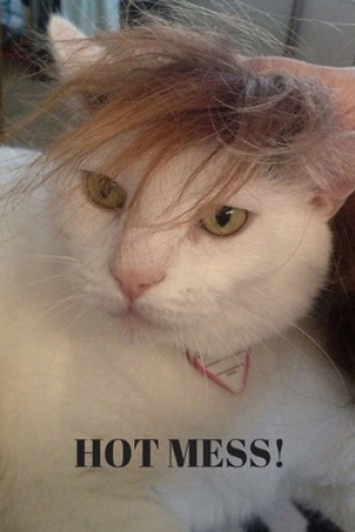 Knjiga Hot Mess! Lisa Bird