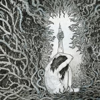 Audio Complete Discography 