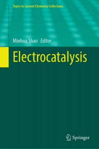 Knjiga Electrocatalysis Minhua Shao