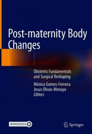 Knjiga Post-maternity Body Changes Mónica Gomes-Ferreira