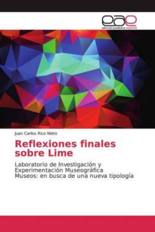 Knjiga Reflexiones finales sobre Lime Juan Carlos Rico Nieto