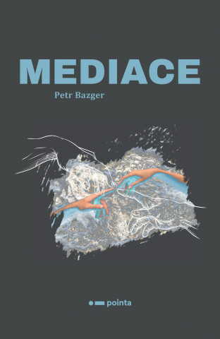 Könyv Mediace Petr Bazger