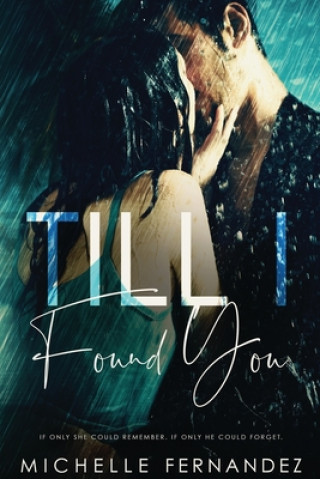 Buch Till I Found You Michelle Fernandez
