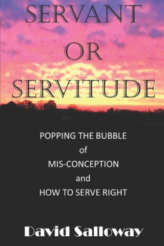 Buch Servant or Servitude: Bursting the Bubble of mis-conception. How to do it right. David Salloway