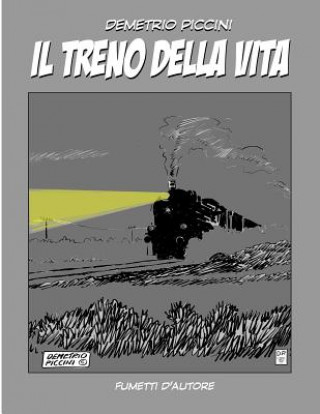 Kniha Il Treno Della Vita Demetrio Piccini