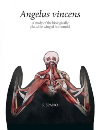 Knjiga Angelus vincens R. Spano