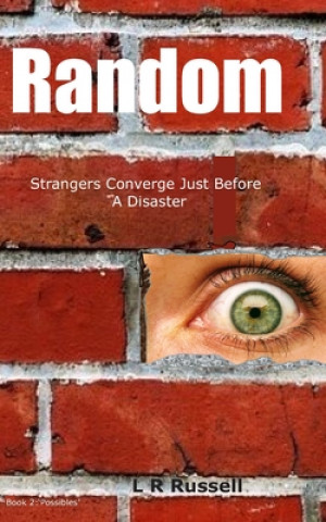 Kniha Random: Strangers Converge Just Before A Disaster L. R. R. Russell