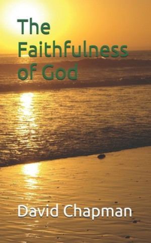 Kniha Faithfulness of God David Chapman