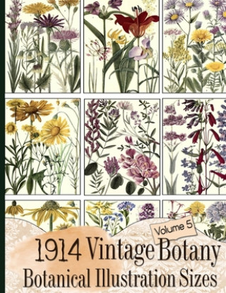 Könyv 1914 Vintage Botany Botanical Illustration Sizes C. Anders