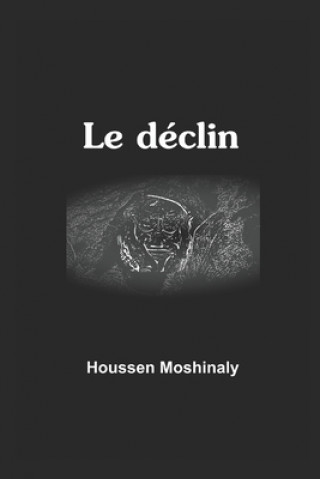 Knjiga Le déclin Houssen Moshinaly