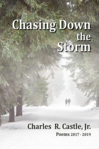 Knjiga Chasing Down the Storm Charles R. Castle Jr
