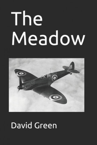 Libro The Meadow David Green