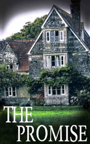 Boek The Promise J. S. Donovan