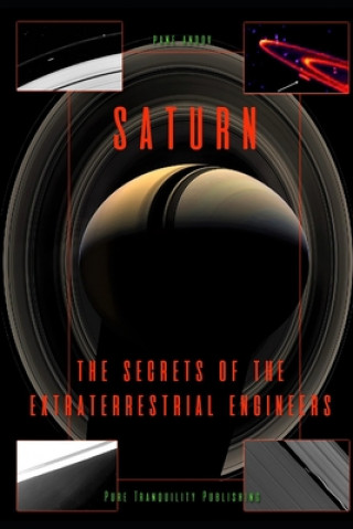 Livre Saturn: The Secrets of the Extraterrestrial Engineers Pane Andov