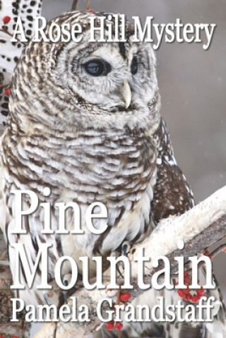 Knjiga Pine Mountain Pamela Grandstaff