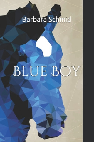 Kniha Blue Boy Barbara Schmid