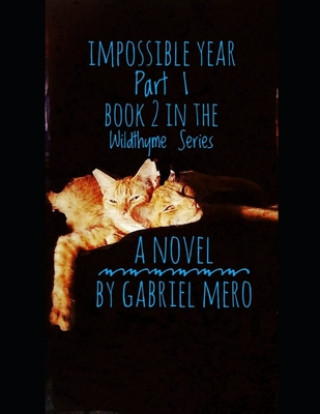 Könyv Impossible Year: Part 1: Book Two in the Wildthyme Series Gabriel Mero