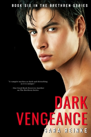 Knjiga Dark Vengeance Sara Reinke
