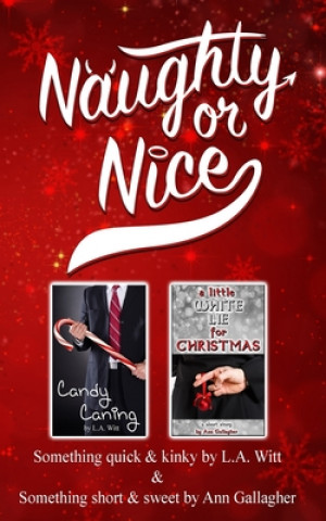 Book Naughty or Nice Ann Gallagher