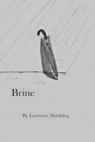 Knjiga Brine Lawrence Shielding