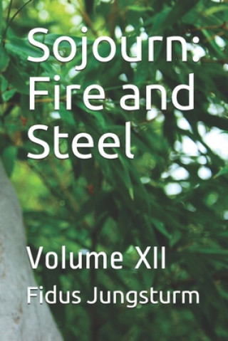 Kniha Sojourn: Fire and Steel: Volume XII Fidus Jungsturm