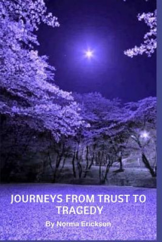 Kniha Journeys From Trust to Tragedy Freda Birrell