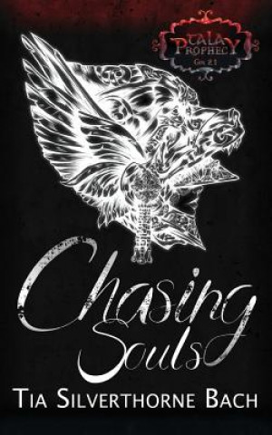 Buch Chasing Souls Jo Michaels