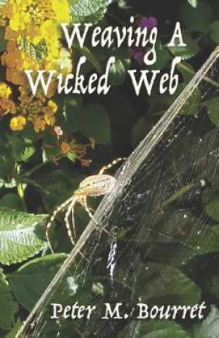 Carte Weaving A Wicked Web Peter M. Bourret