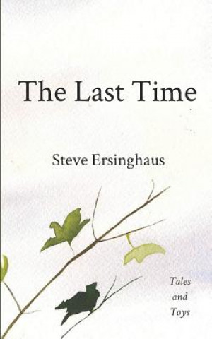 Knjiga The Last Time Steve Ersinghaus