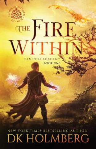 Kniha The Fire Within D. K. Holmberg