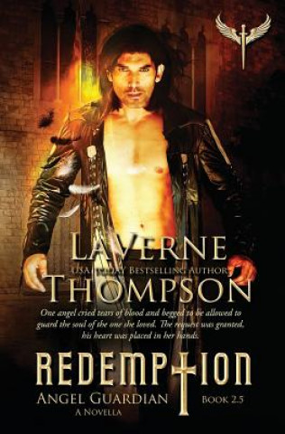 Knjiga Angel Guardian: Redemption Book 2.5 Fiona Jayde