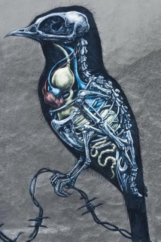 Book Raven Touch Kristin Rempel