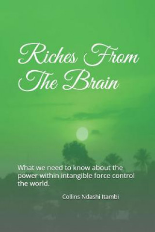 Kniha Riches From The Brain Collins Ndashi Itambi