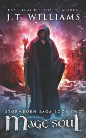 Carte Mage Soul: A Tale of the Dwemhar J. T. Williams