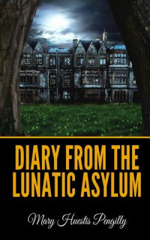 Carte Diary From The Lunatic Asylum Mary Huestis Pengilly