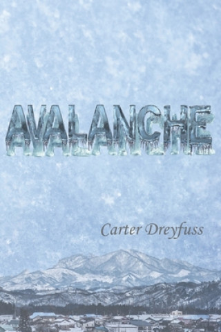 Knjiga Avalanche Carter Dreyfuss