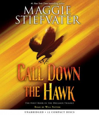 Audio Call Down the Hawk (the Dreamer Trilogy, Book 1), Volume 1 Maggie Stiefvater