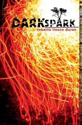 Kniha Dark Spark Roberto Tinoco Duran