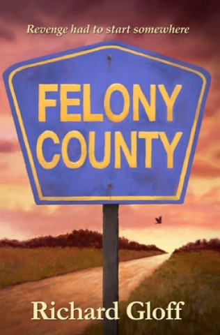 Knjiga Felony County Richard Gloff