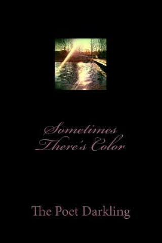 Boek Sometimes There's Color Teresa Benjamin