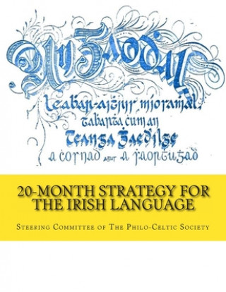 Kniha 20-Month Strategy for the Irish Language Steering Committee of the Philo-Celtic S