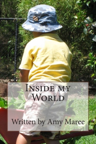 Knjiga Inside My World Amy Maree