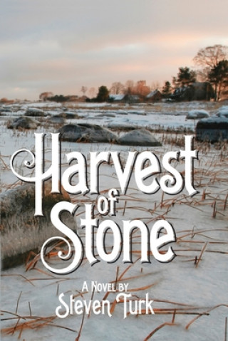 Boek Harvest of Stone Steven Turk